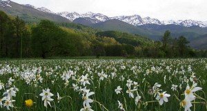 Фотографија: Фонд Слободан Јовановић