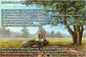 1510990_640843896027794_1461793092746495369_n copy