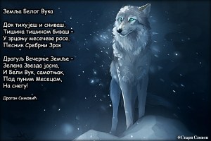 image_5603061317573495040648