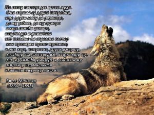 324870_301697406541790_1512264592_o