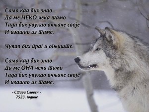 10615545_715377215218905_8700224556899483920_n copy.jpg333