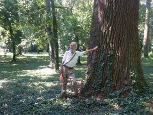 11358745_431257753721549_749098008_n (1)