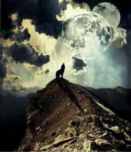 12144857_893331467423478_5035908439774172399_n