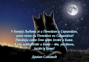 12314111_1946604865564598_5872417170705152977_n777