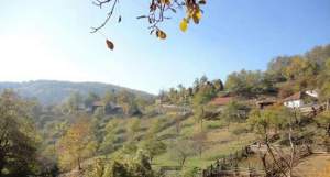 10358886_752222114879566_7384846828595364483_n