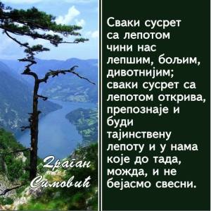 12674499_569108883267315_1575204217_n