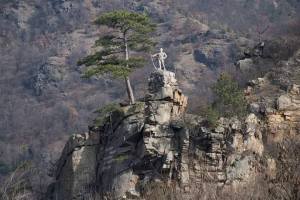 12669578_975722189130369_759645366213354708_n