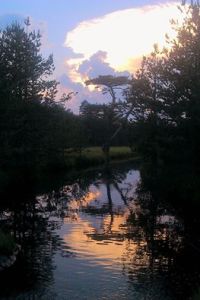 13620007_1655604668099199_4108175172620896005_n