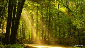 894150fecfe08103cc157359444fd323a6e858a4_322c52fe4f55296994f3ca02f85197d86d465e0b_articlemain