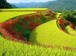 %d0%b2%d0%b8%d0%bb%d0%b8%d0%bd-%d0%b4%d0%b2%d0%be%d1%80-2568794074837_5704248133787810964_n