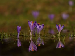 163735_168703816505193_100000967280150_344040_2231092_n