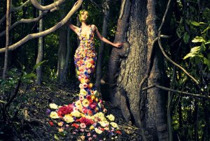 magija-1417814760-596380