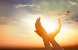 14992060_1882422708654778_5101326330119087635_n