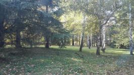 15135846_10207702919271486_8660015082902493742_n