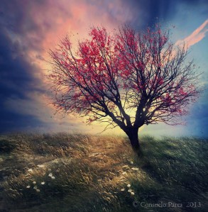 mystic_tree_by_aeternum_art-d652gjy