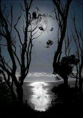 14141688_816002281832870_7031997558649327704_n