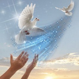 60068_146933548679781_106212246085245_230852_6338763_n