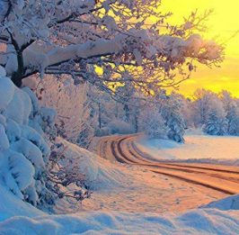 copy-of-15421017_543110269228351_5352293510826258982_n