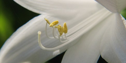 1096916518_6e8cb06bbf_z-640x352