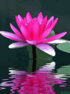 155182_165756090133299_100000967280150_328017_3326250_n