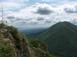 %d0%be%d0%b2%d1%87%d0%b0%d1%80-%d0%ba%d0%b0%d0%b1%d0%bb%d0%b0%d1%80-images