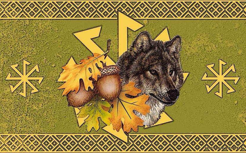 10509740_718495344911874_6249381562933459640_n