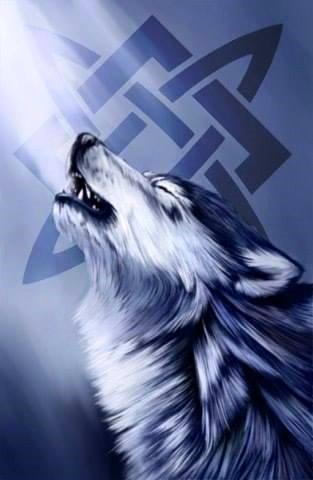 18010264_1660251460946431_4706535121785852602_n