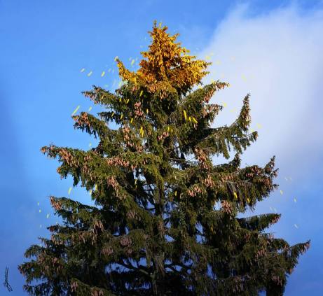 18275031_1465842923482959_2751611485214973259_n