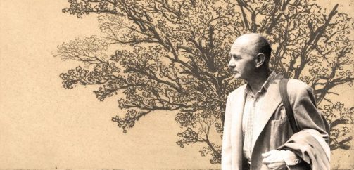 18077172_280529025692211_6572142377360043072_o