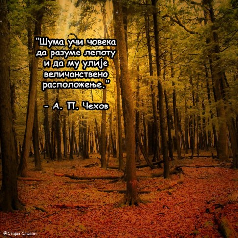 14519775_692503130906272_8113225693156764469_n