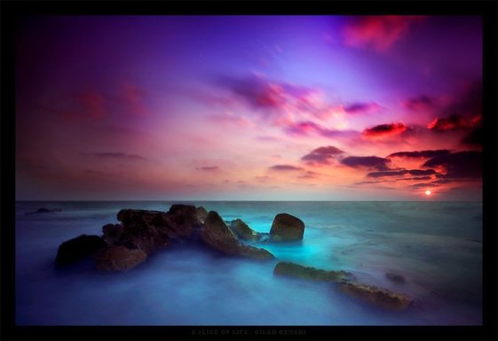 248207_2146028853147_1319054346_32598477_1107736_n