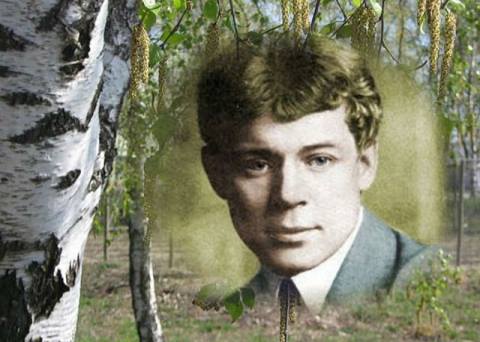 21272646_526222257718900_4657379843663569777_n