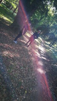 Резултат слика за парк у великом гају, слике