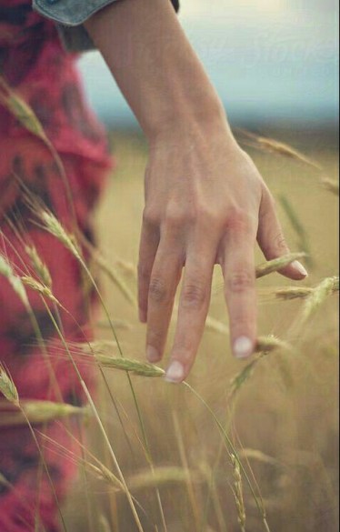 22310509_295839174227139_6045675452319280201_n