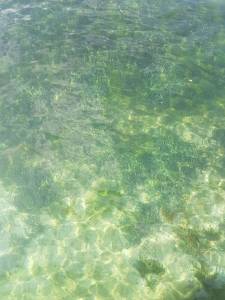 IMG-7ec28e187d551ecb07caf14739babf76-V