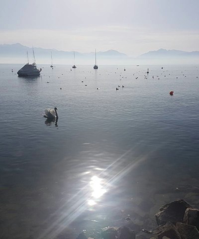 IMG_20171020_151838_928