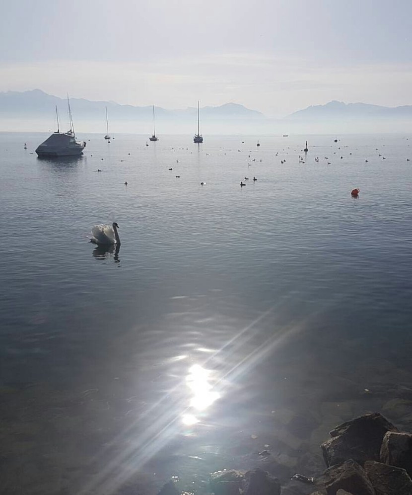 IMG_20171020_151838_928