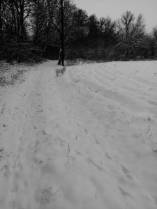 IMG_20180115_082502_877