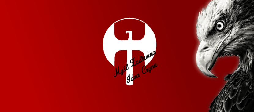 12003380_411472049064017_9122905683646473405_n