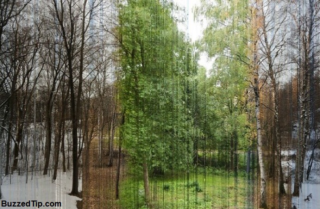 365 pictures in 1.jpg