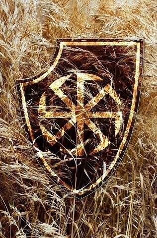 10001406_501923616584709_298516120_n