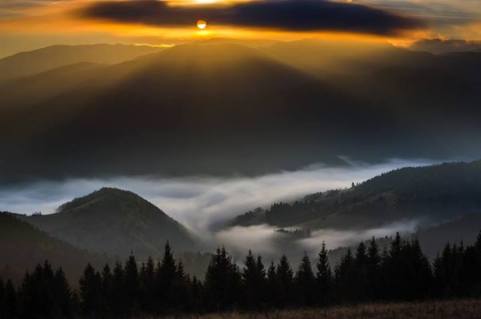 1460998_629930183715678_261757407_n