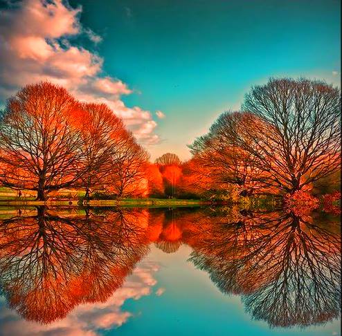 165414_196522897164555_482384208_n