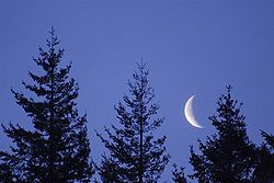 250px-Jeff_Fennell_-_Early_Morning_Moon_(by).jpg