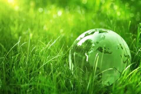 30265274_990519504438004_168457971787890688_n