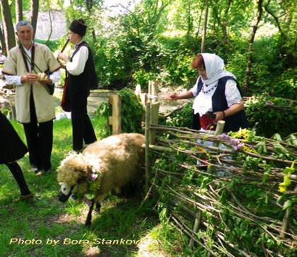 30516321_1812591422141439_7392846989500612608_n