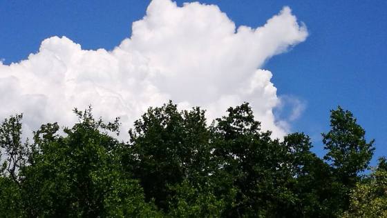 32365493_10211927524963988_8813451832614453248_n