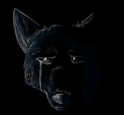 11040217_906479132730278_1905588302_n