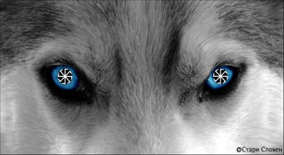 9ec2dac5f9bfdeea98474e0e0ec6cc7b